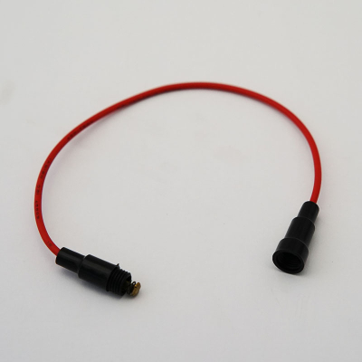 Cable with fuse holder